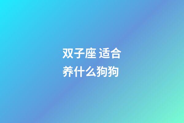 双子座 适合养什么狗狗